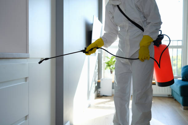 Best Mold Testing  in Southport, IN
