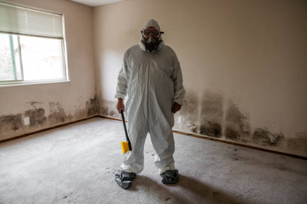 Mold Removal Process in Southport, IN